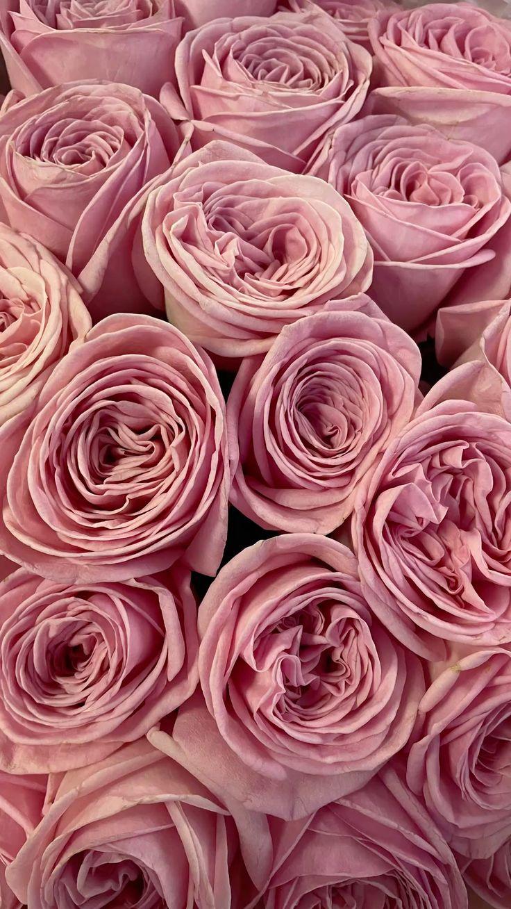 Whisper of Blossoms Enchantment